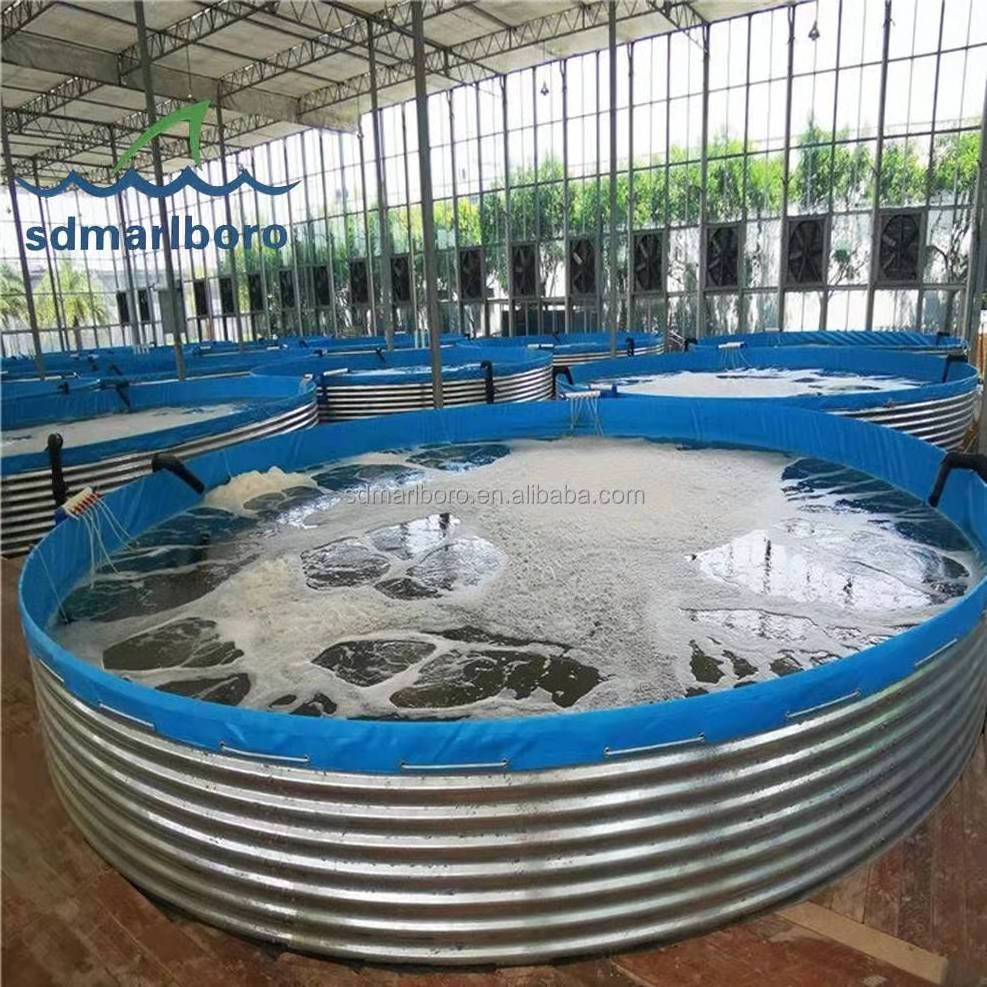 SDM plant sells Wholesale Large Round Pvc Tarpaulin Aquaculture Biofloc Tilapia RAS Fish Tank Farming