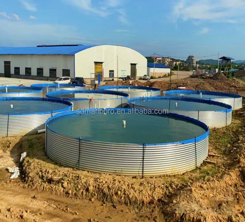 SDM China factory newly designed large outdoor shrimp farm fish pond equipment