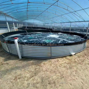 SDM China factory newly designed large outdoor shrimp farm fish pond equipment