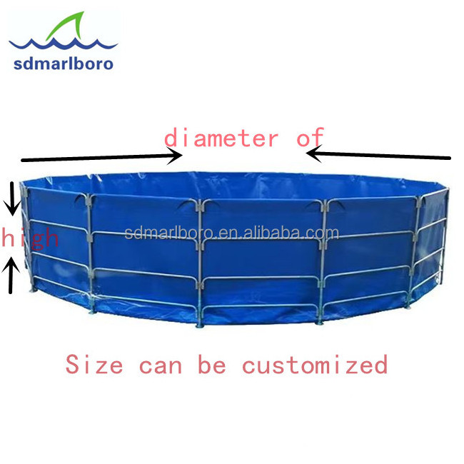 Chinese fish tank manufacturer custom aquaculture tank indoor tarpaulin shrimp breeding system equipment