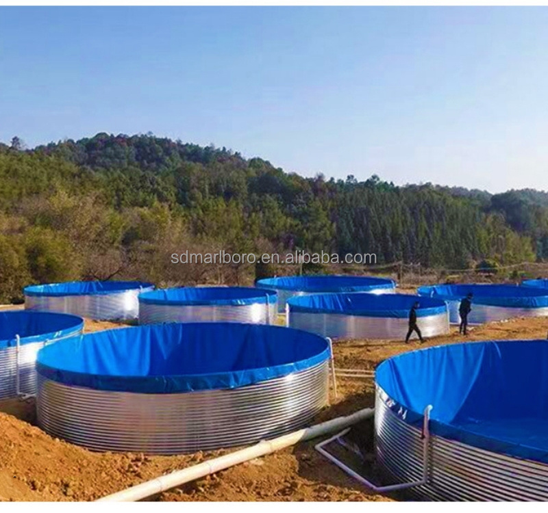 SDM China factory newly designed large outdoor shrimp farm fish pond equipment