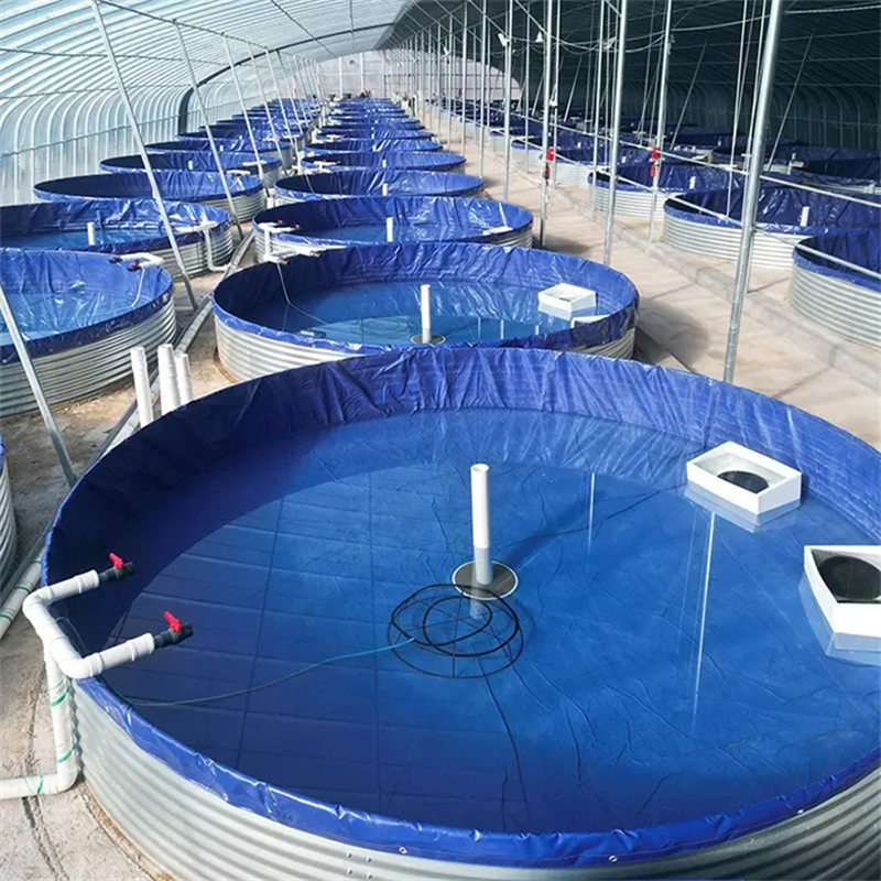 SDM aquaculture cycle equipment Round large biological flocculation fish pond