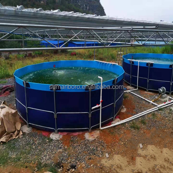 Chinese fish tank manufacturer custom aquaculture tank indoor tarpaulin shrimp breeding system equipment