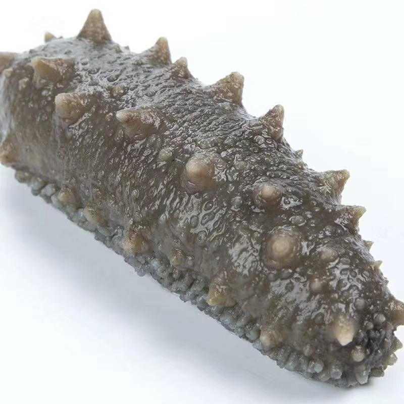 Proper Price Top Quality Healthy Food Delicious Rte Sea Cucumber