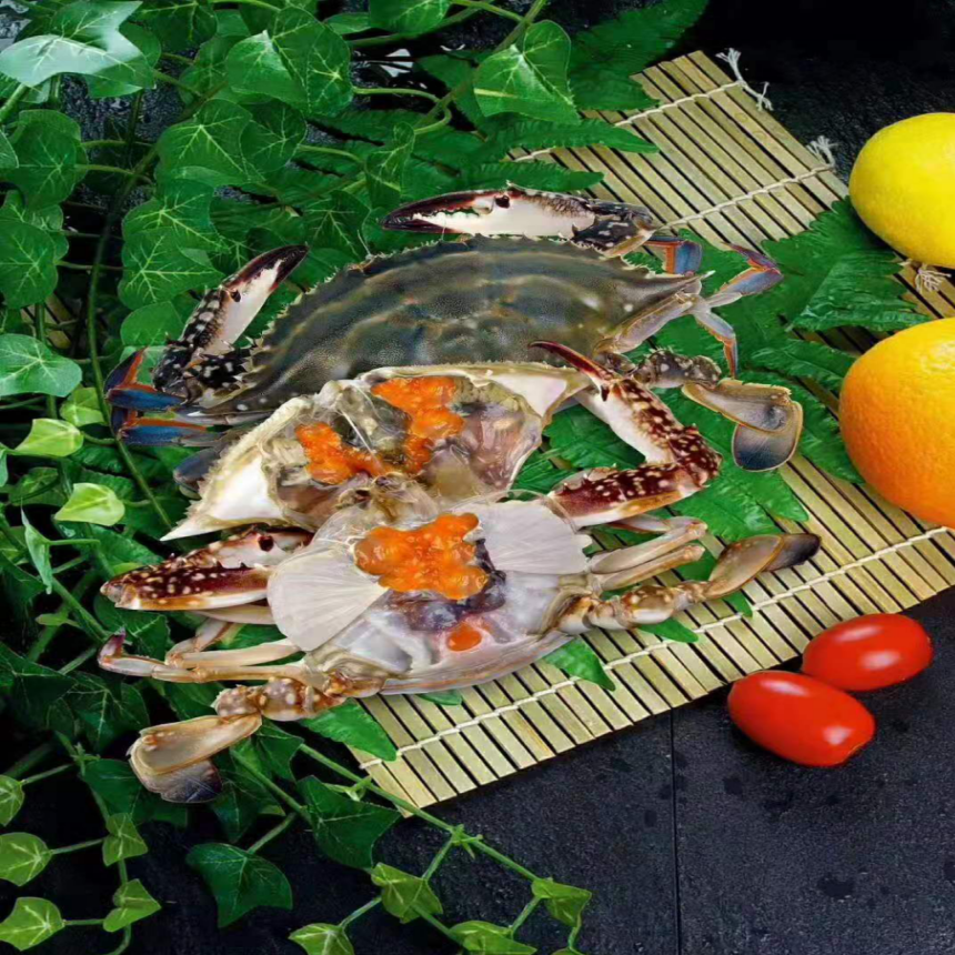 Factory supply Frozen Seafood Swimming Crab with Roe