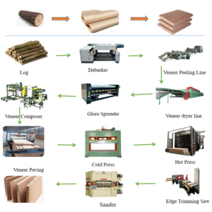 Plywood Machinery Manufacturer Fully Automatic Complete Plywood Production Line