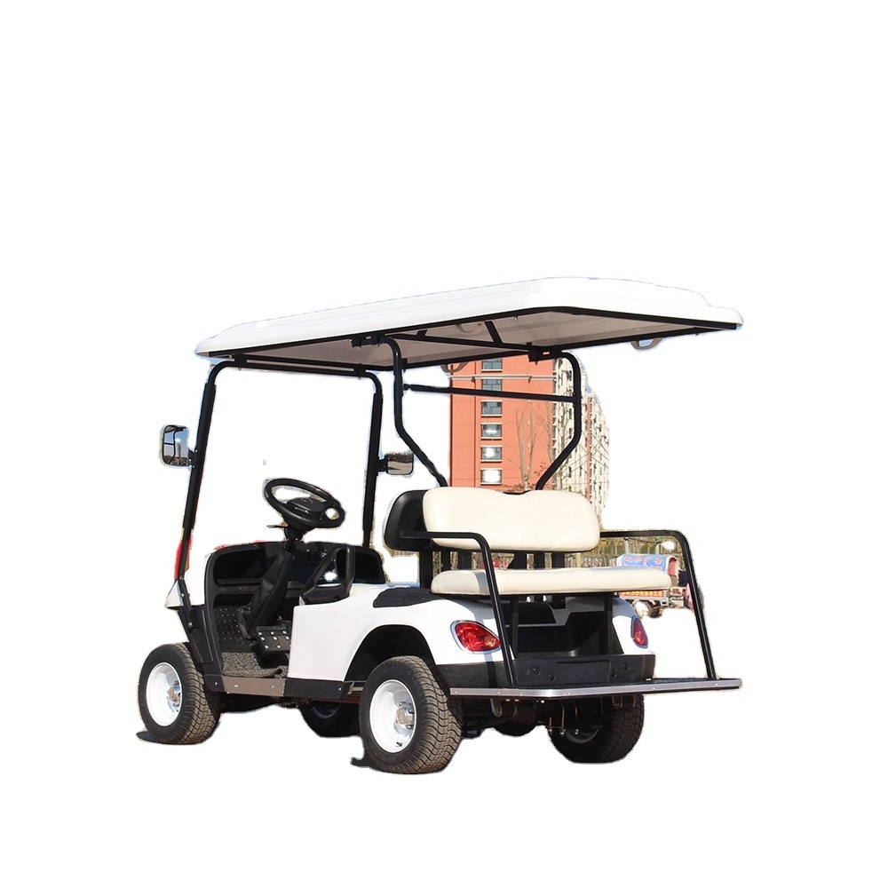 Hot Sale 2 person electric mini golf cart