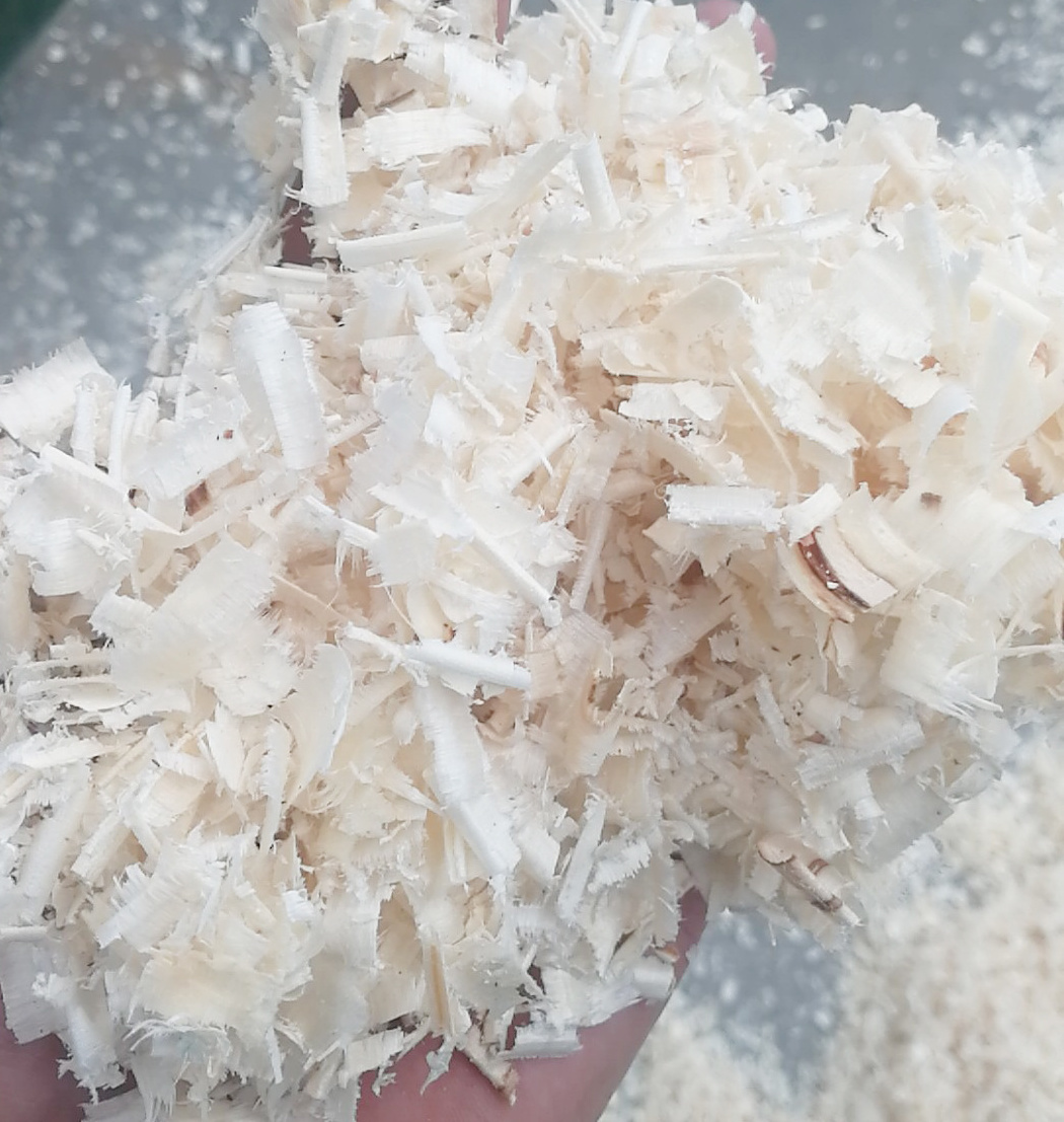 CE certificate tunisia bulk pine aspen wood shavings for horse animal bedding machine wood shaver