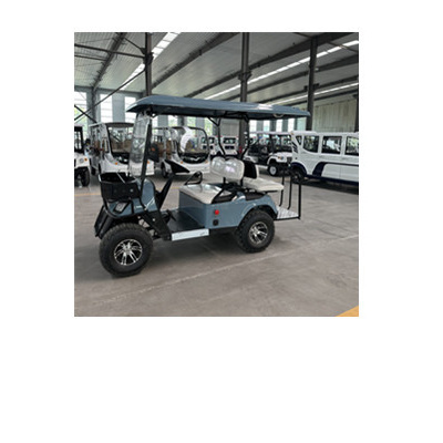 2 4 6 Seater CE Certified Electric Golf Cart 3 4 Seat Buggy Car with 10 Inch Tires for Sale