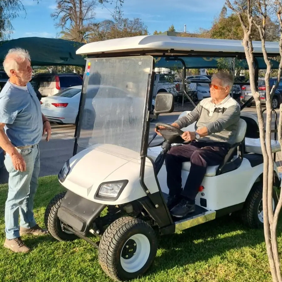 Low Price 2 Seats Golf Cart with High Quality