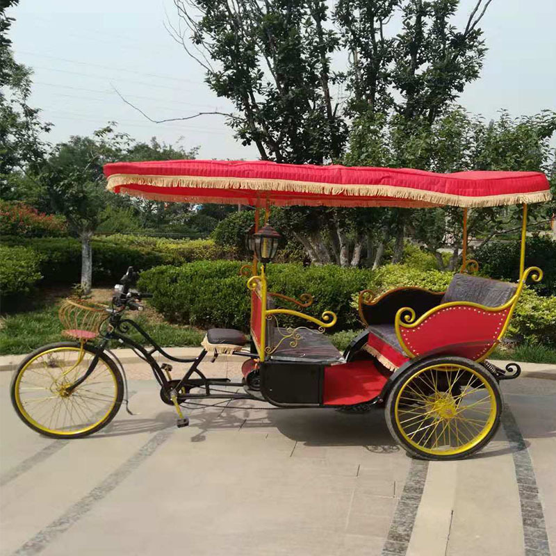 electric auto battery bicycle rickshaw pedicab for sale/electric rickshaw/passengers taxi bike