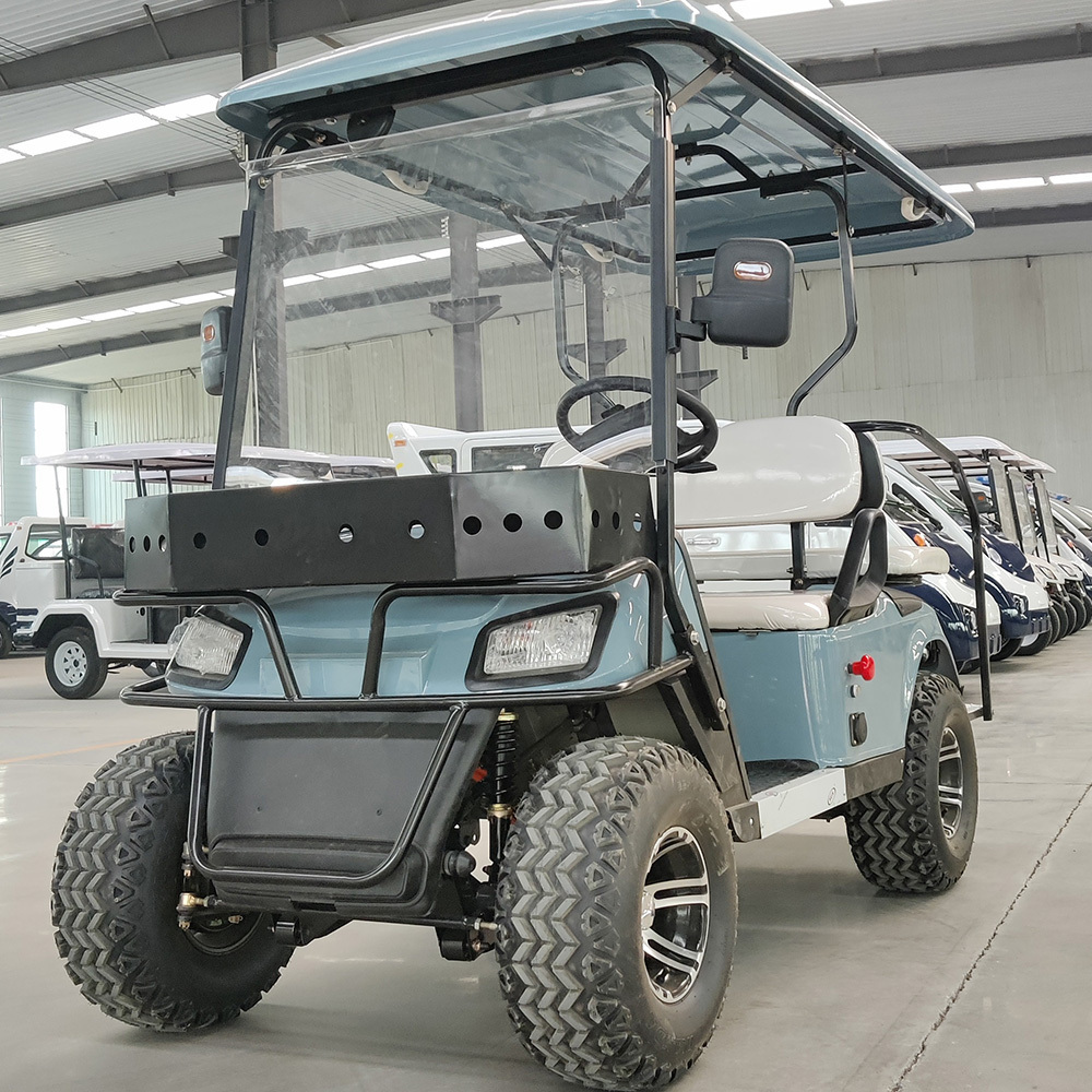 Low Price 2 Seats Golf Cart with High Quality