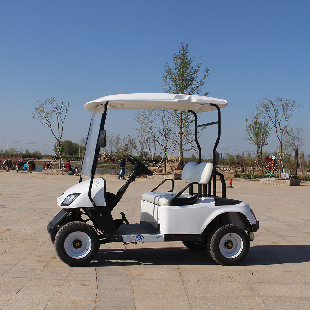 Hot Sale 2 person electric mini golf cart