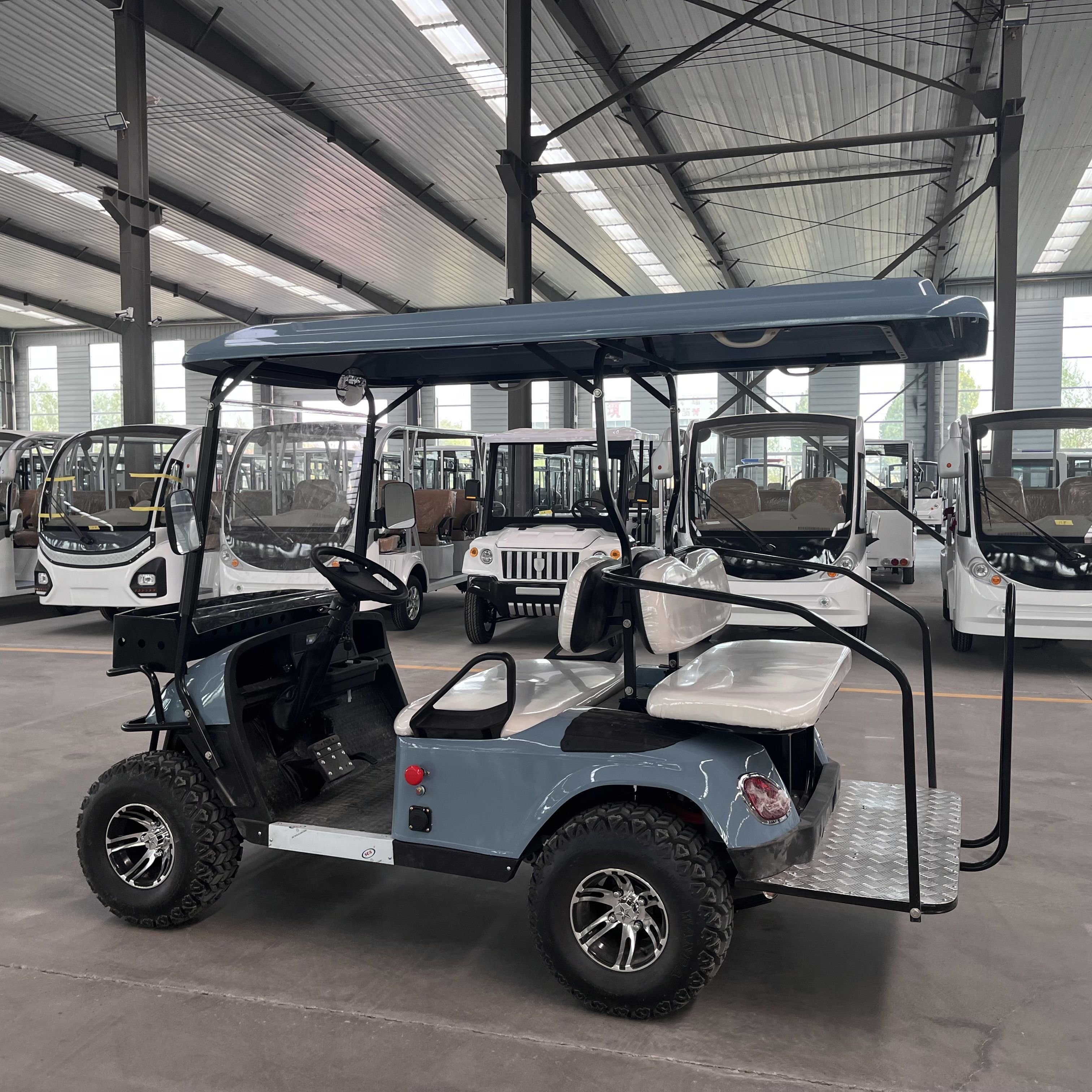 2 4 6 Seater CE Certified Electric Golf Cart 3 4 Seat Buggy Car with 10 Inch Tires for Sale