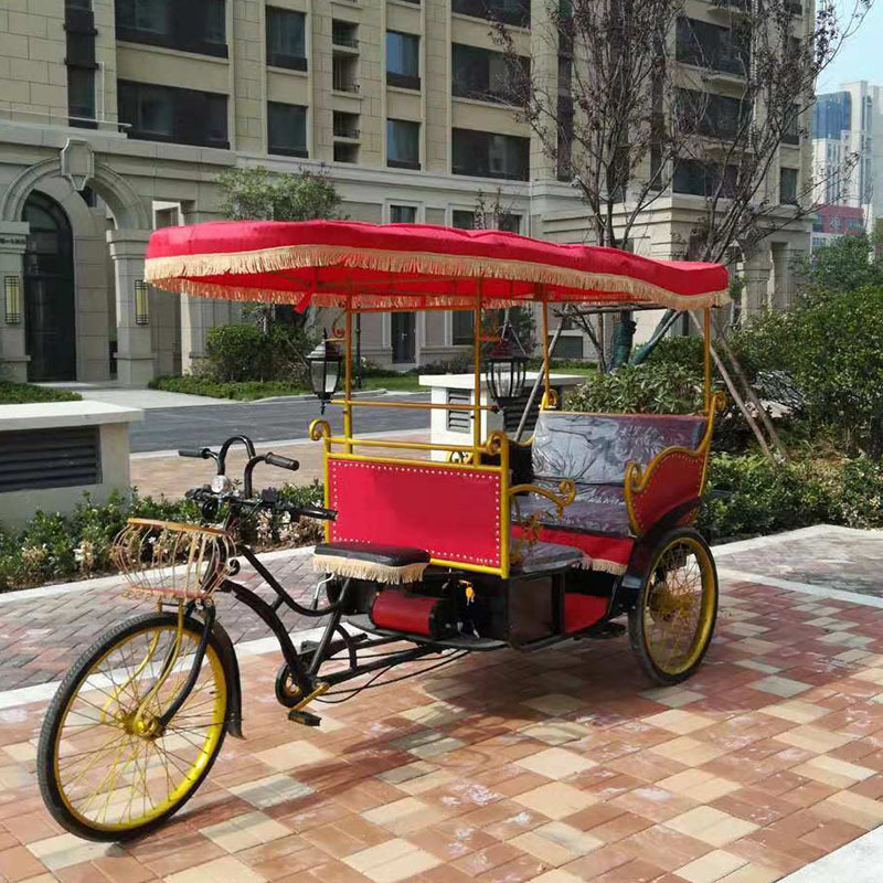 electric auto battery bicycle rickshaw pedicab for sale/electric rickshaw/passengers taxi bike