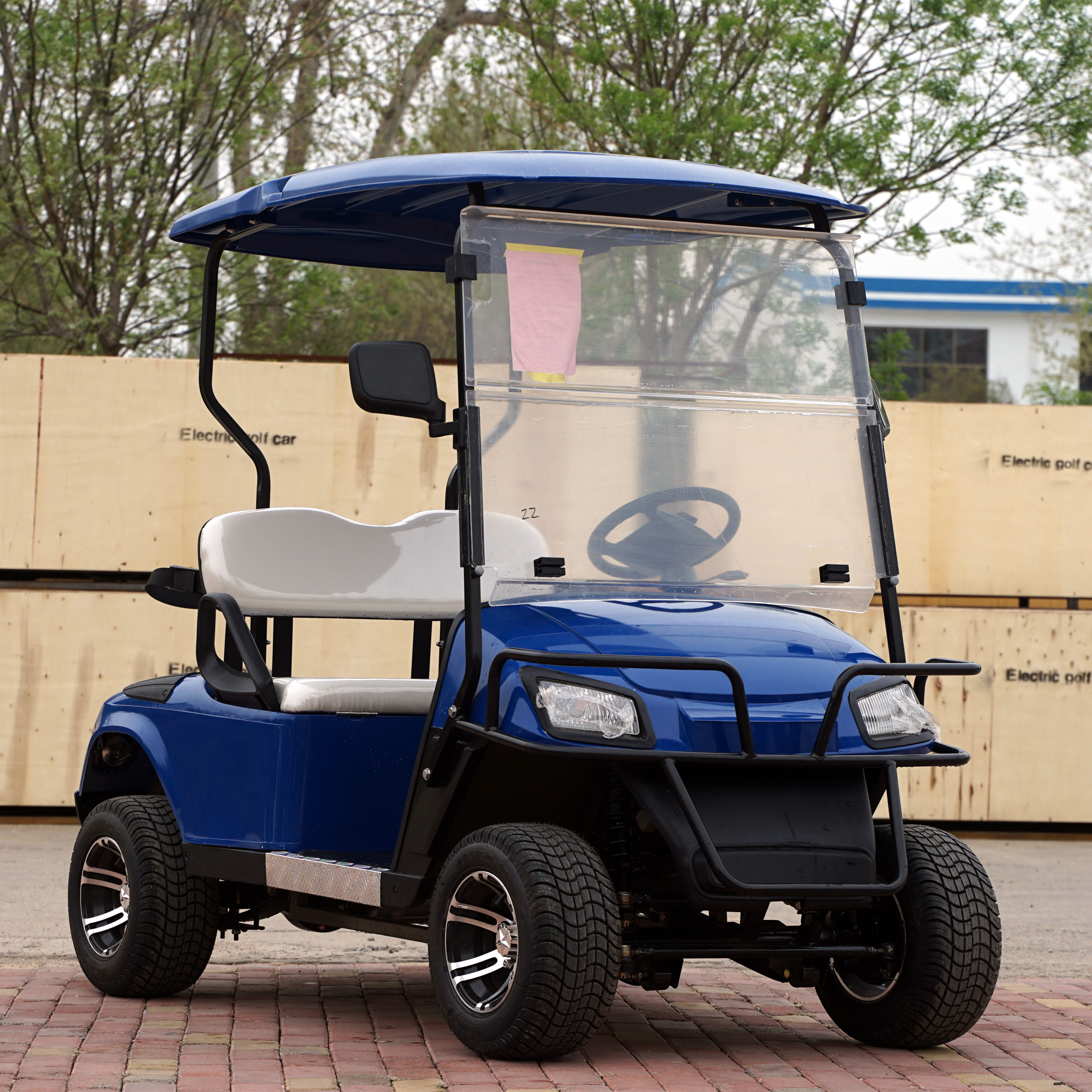 Low Price 2 Seats Golf Cart with High Quality