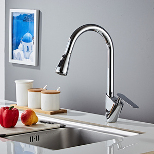 Professional Manufacturer Sanitary Ware Pull Out Spray Kitchen Faucet