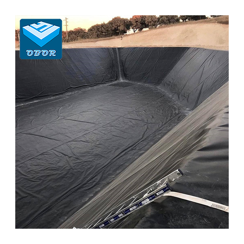 0.2mm 1mm 2mm HDPE Geomembrane for Water Dam Irrigation Water Tank Prices HDPE Liners