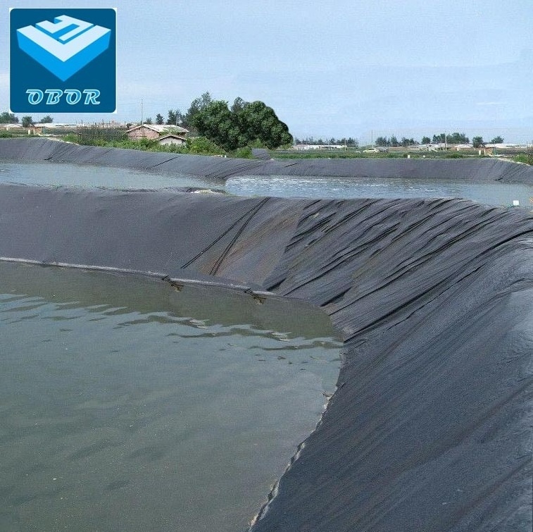 Hdpe Geomembrane 0.5mm 0.75mm Price Agricultural Hdpe Fish Pond Liner Shrimp Farming Waterproofing Films Plastic Sheet