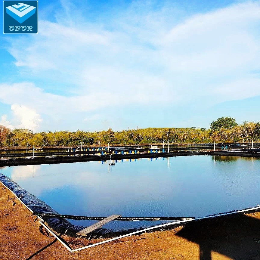 Geo Membrane Pond Liner Dam Liners HDPE  Geomembrane for Water Storage waterproof