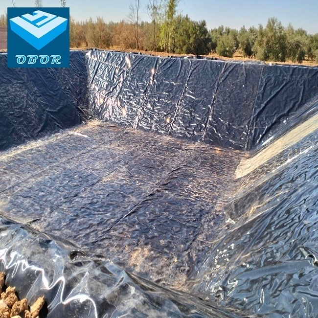 0.1 - 5mm factory price Fish Farm dam liner HDPE Geomembrane Pond Liner