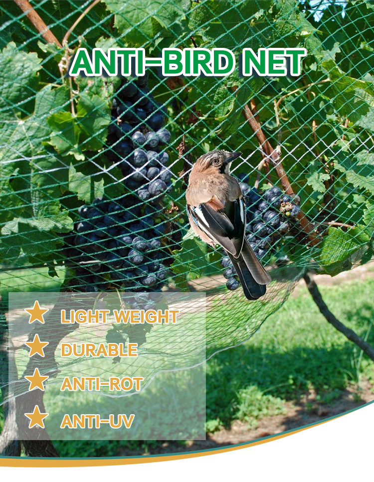 HDPE garden fruit trees orchard catch bird net/anti bird net for rice field