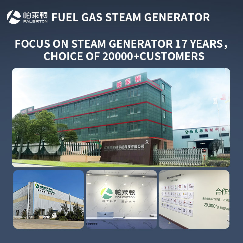 Industry Vertical Biomass fuel fired wood chip Pellet Steam Generator boilers 0.3ton-3ton