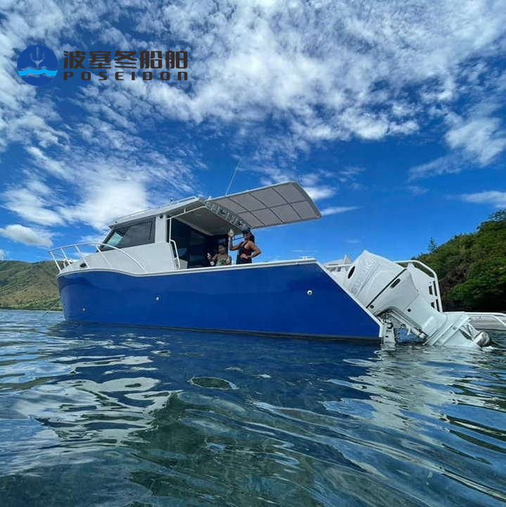 Twin hull 7.9m 26ft high speed fully welded Fishing Boat double hull cabin catamaran with CE certification