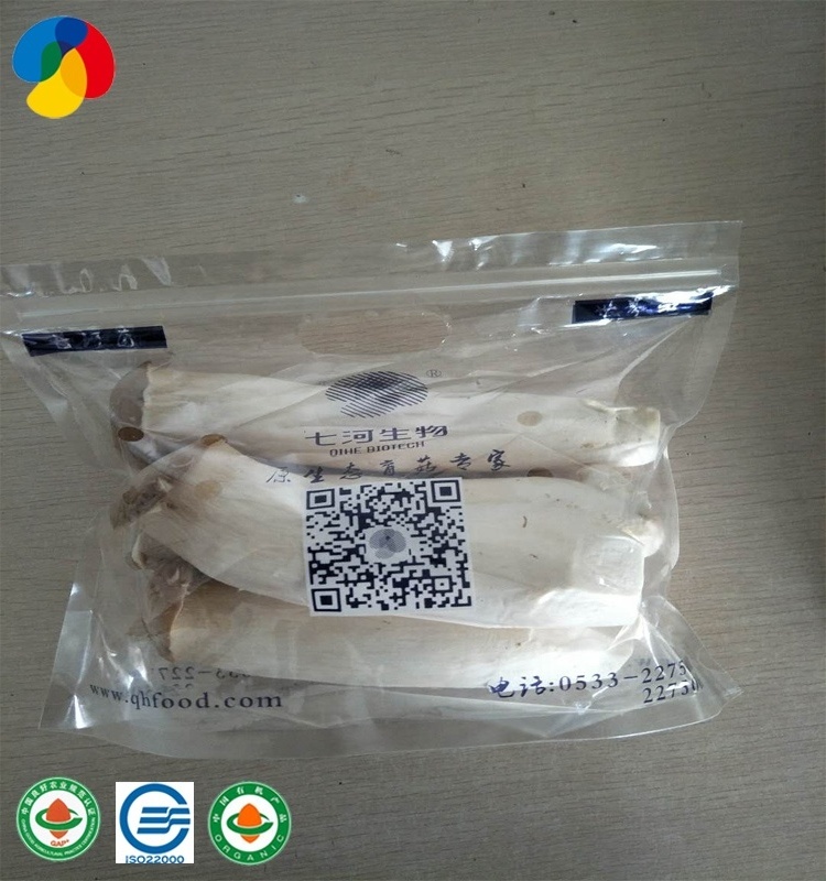 GAP certificated mushroom farm direct seller cultivated health  fresh king oyster mushroom grow bags spawn