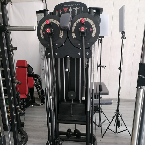 Gym Equipment standing Lateral Raise Machine with loading Strength Training Machine