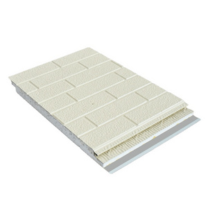 Home Price Insulated 30mm 50mm 75mm 100mm Sandwich polystyrene ceiling panel EPS Sandwich Panel XPS foam board