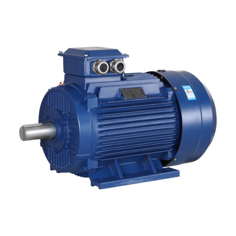 1hp 2hp 3hp 15hp 25hp 30hp 40hp 100hp 200hp Three Phase Induct Motor