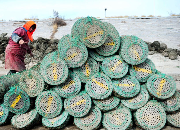 Qinghong Aquaculture Trap Plastic Plate Scallop Cage High Quality oyster scallop breeding net