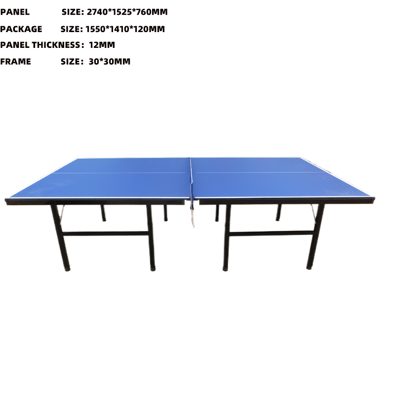 Household indoor and outdoor table tennis table, movable and foldable, standard size, competition and training table tennis case