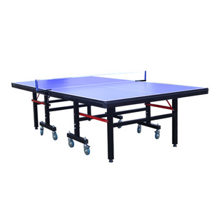 Household indoor and outdoor table tennis table, movable and foldable, standard size, competition and training table tennis case