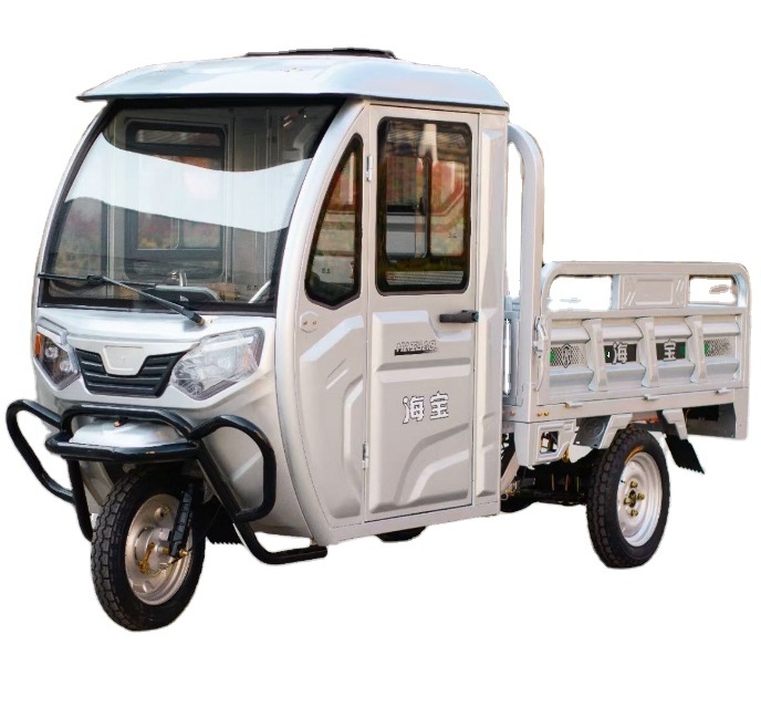 New Design Enclosed Body Electric Tricycle  2 Doors Tricycle China New adult tricycle electric three wheels with high quality