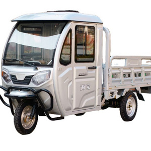 New Design Enclosed Body Electric Tricycle  2 Doors Tricycle China New adult tricycle electric three wheels with high quality