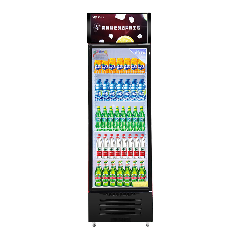 Commercial Vertical Display Freezer with Single-Temperature Glass Door 1-Door Refrigeration Equipment Fridge