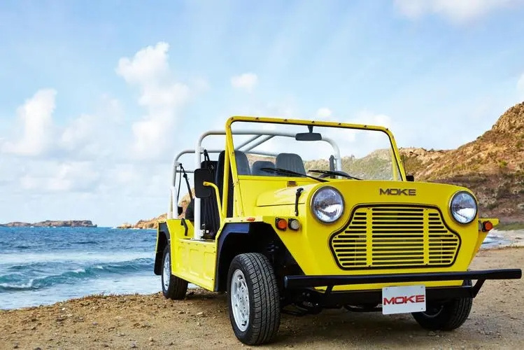 High Performance CE Approved Mini Car Moke Best Electric Golf Carts Pickup Buggy