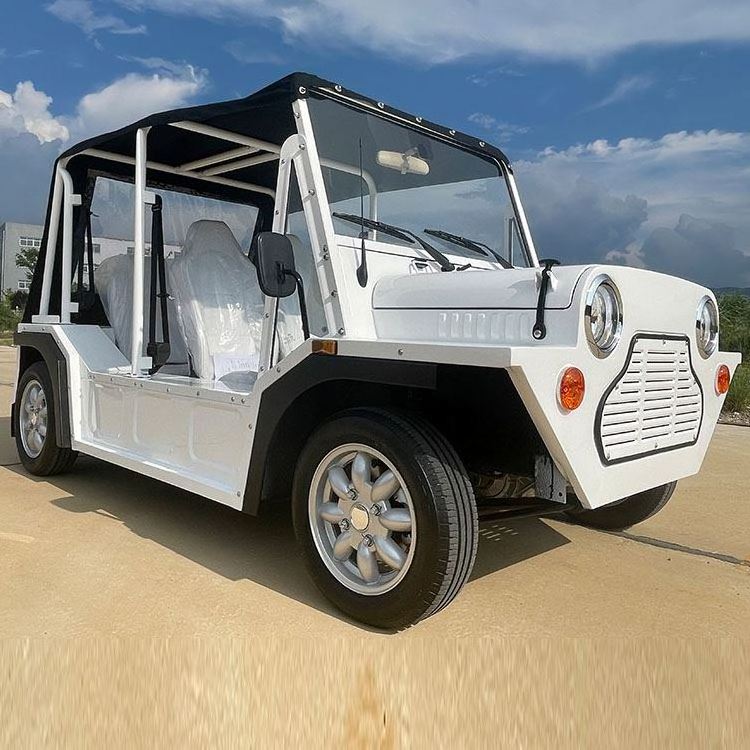 Ecc Certificate 96V Large Capacity Battery Mini Moke Parts 6 Seater New Electric Mini Moke