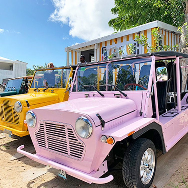 Rainbow Ecc Certificate Mini Moke Parts Off-Road Tire 72V Pink New Mini Moke Electric