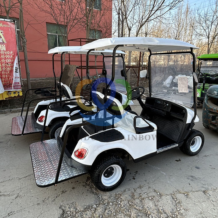 Customized Color Top Quality Club Car Golf Buggy 2 Wheel Mini Single Seat Electric Golf Cart For Sale