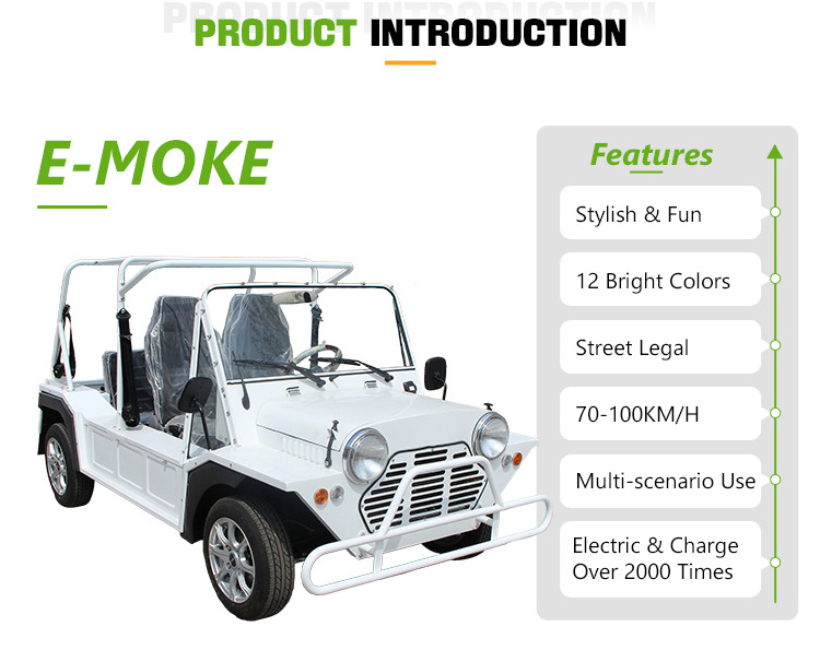 Custom New Energy Electric Moke Car Parts 96V Off-Road 100km/h Tire Mini Moke Front Grille