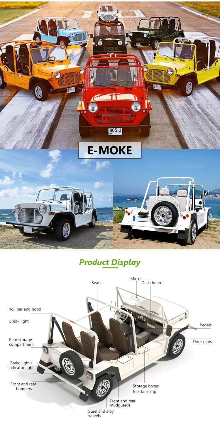 Custom New Energy Electric Moke Car Parts 96V Off-Road 100km/h Tire Mini Moke Front Grille