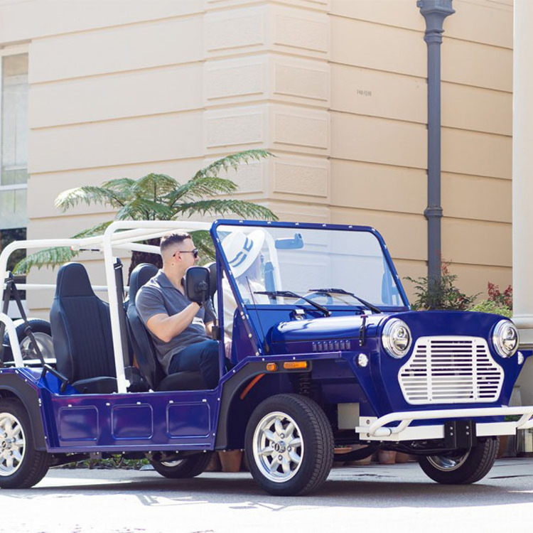 Ecc Certificate Electric Power Mini Moke Car Parts For Sale With Waterproof Bluetooth Radio