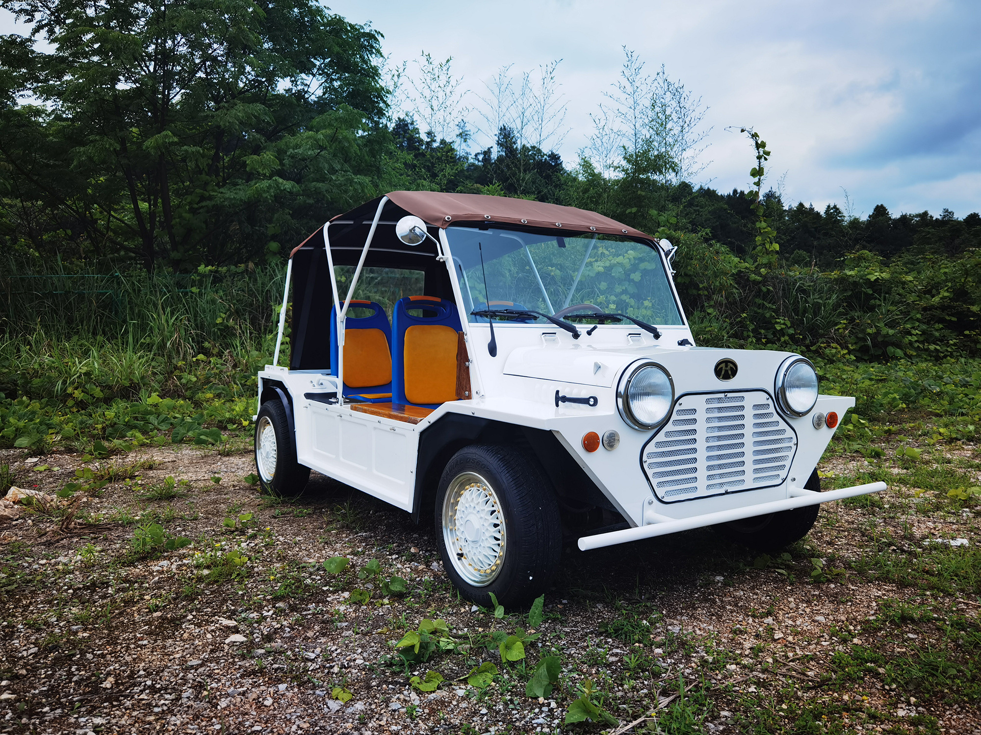 Rainbow 4 Passengers Lithium iron phosphate battery AC Motor Four Seat Gas Mini Moke Jeep Style