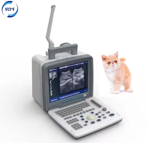 Medical Ultrasound Diagnostic Instruments Portable Laptop Black and White Ultrasound Scanner Machine for Veterinary