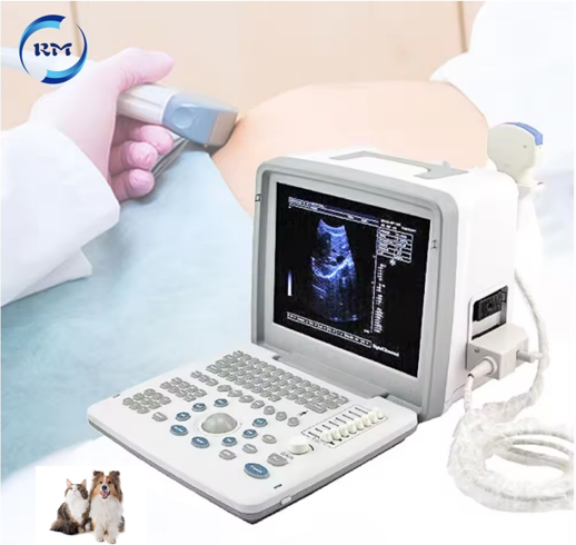 Veterinary Ultrasound Medical Instruments Vet Black and White Full Digital Led Ultrasound Scanner