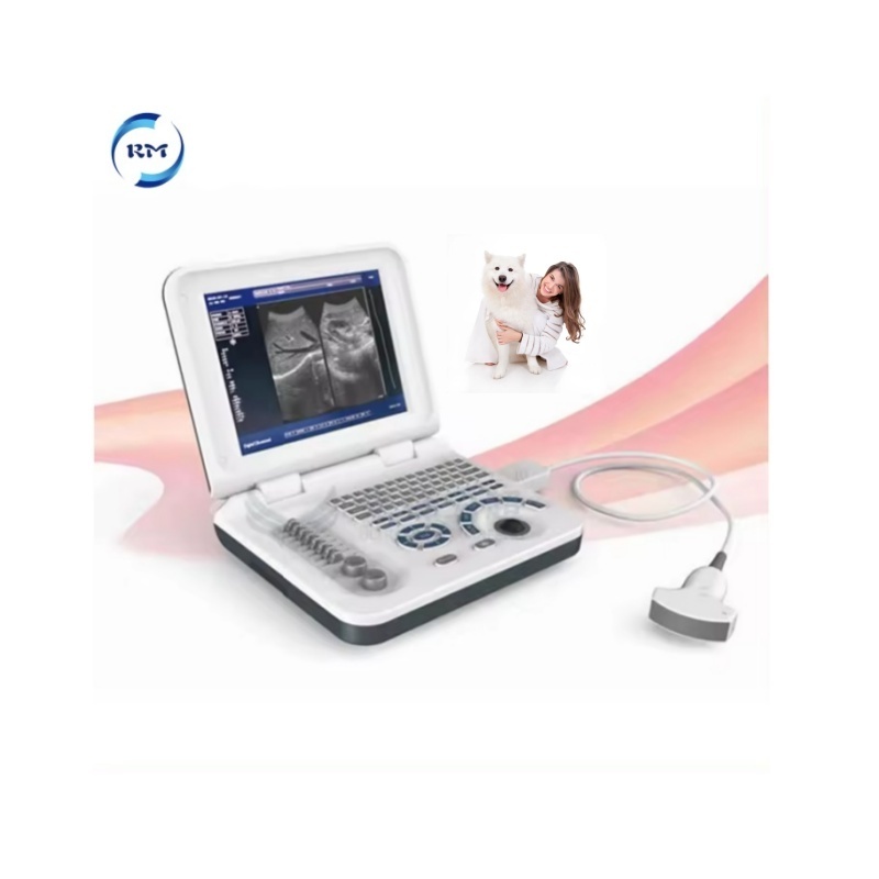 Veterinary ultrasound portable black and white ultrasound scanner 10 inches