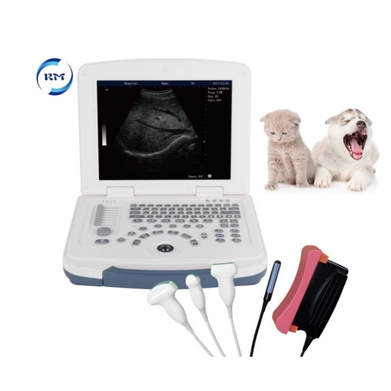 Rayman LED Laptop Ultrasound Scanner Hospital Black and White Portable Ultrasound Scanner for animals